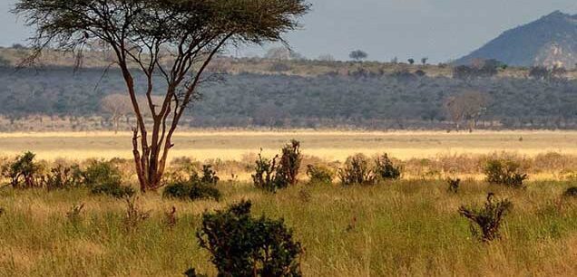 Tsavo National Park