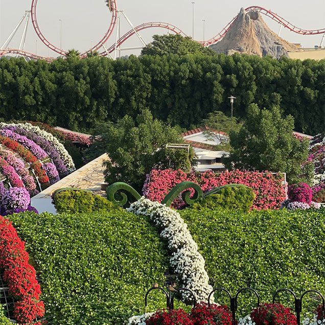 The-Miracle-Garden-02