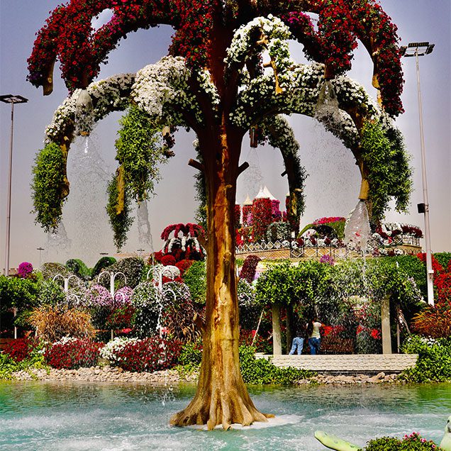 The-Miracle-Garden-03